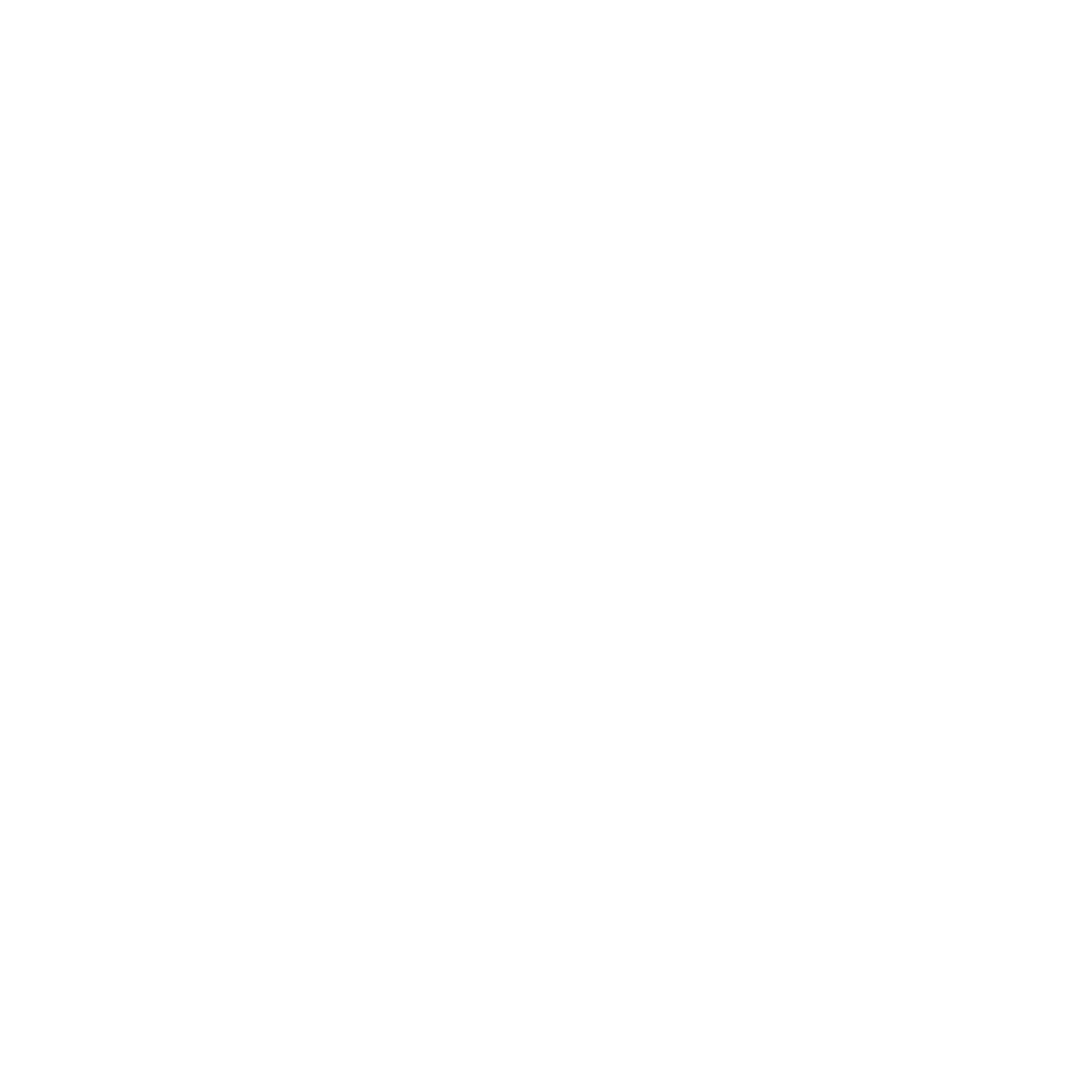 VinylStudio